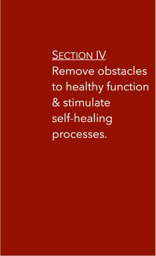 Section IV preview